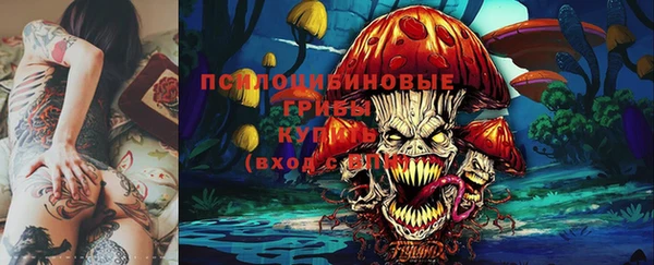 МДПВ Алексин