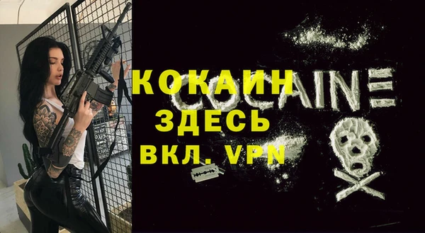МДПВ Алексин